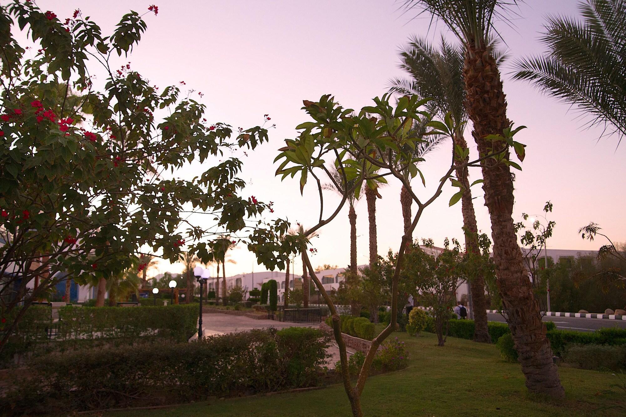 Complex Naama Blue